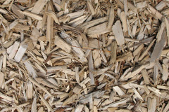 biomass boilers Maesypandy